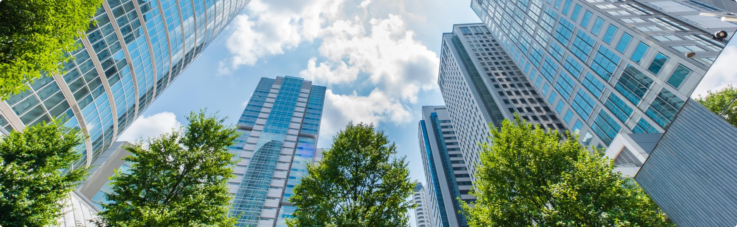 GREETING 代表からご挨拶